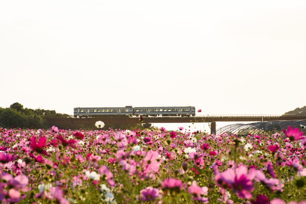 集川橋梁を通過する列車3