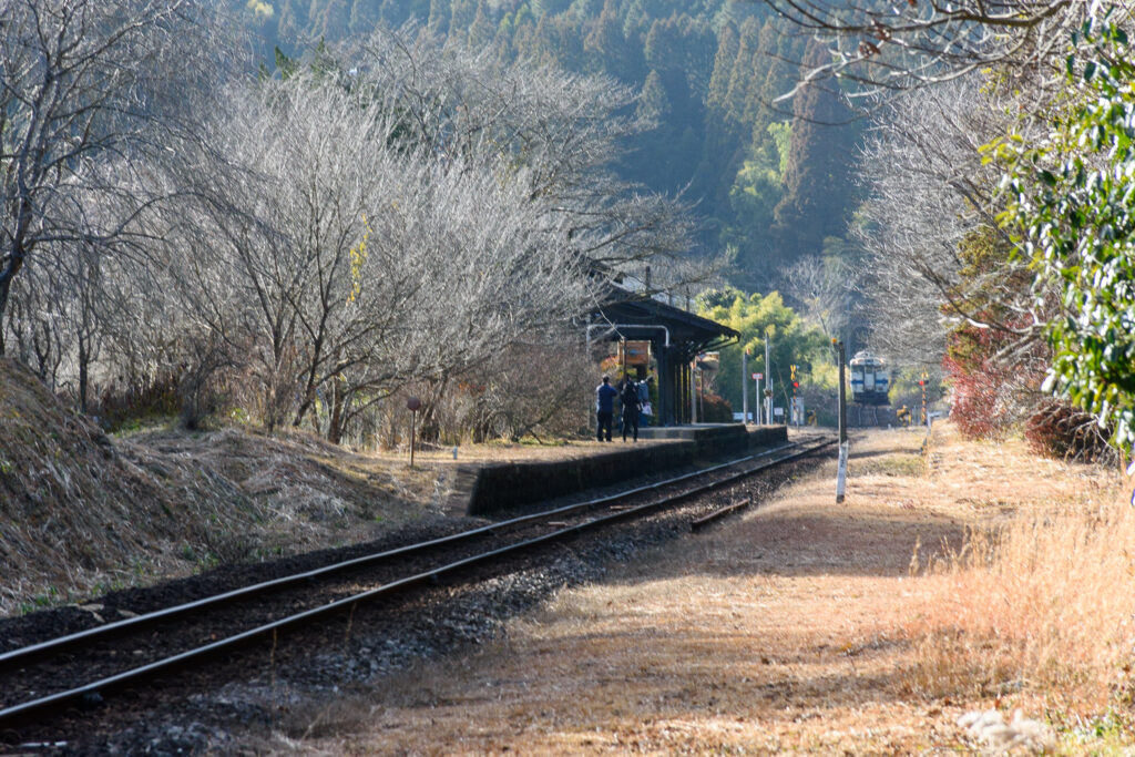 吉松駅方面からやってきた列車。
